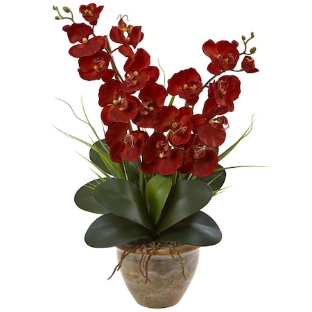 Dare2Decor Seasonal Double Phalaenopsis Orchid Arrangement; Autumn DA857841